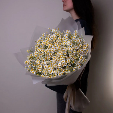 Букет кустовых ромашек