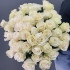 51 роза Эквадор 60 см